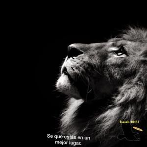 Meet your Posher, Armando